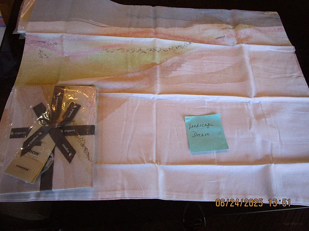 2 West Elm Shape shifting standard shams New w tag