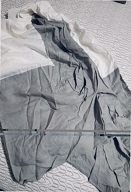 West Elm European Flax Linen Bed Skirt Queen NWOT