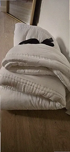 West Elm Silky TENCEL Plush Comforter White Cali King/King Pre-owned