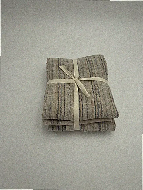 West Elm Woven Stripe Shams ~ Standard ~ Pair